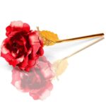 Valentine-Day-Red-Rose-03