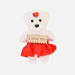 Valentine-Gift-Red-Rose-Flower-with-Teddy-Gift-Box-06